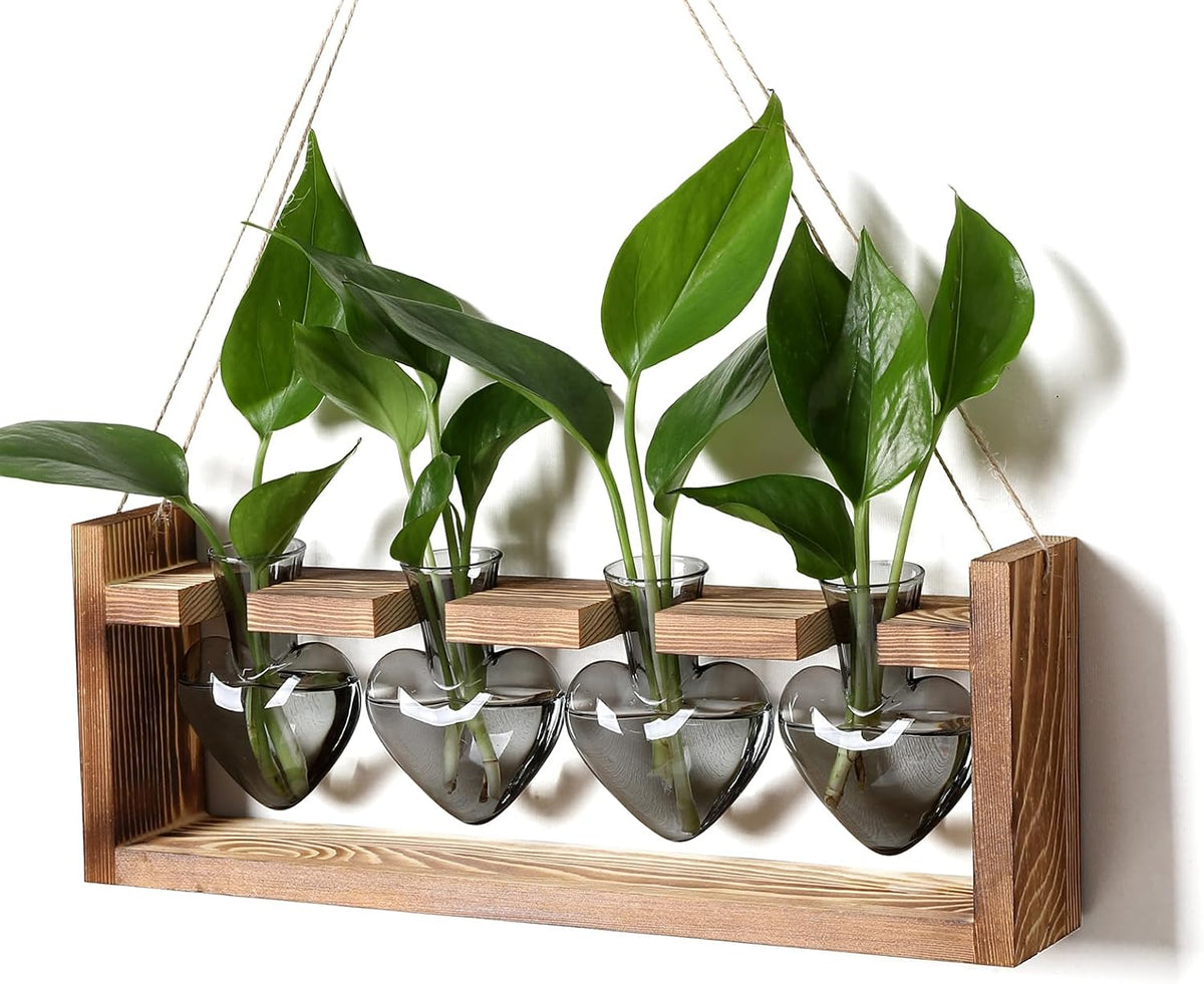 Plant Propagation Stations Heart Plant Terrarium Kit