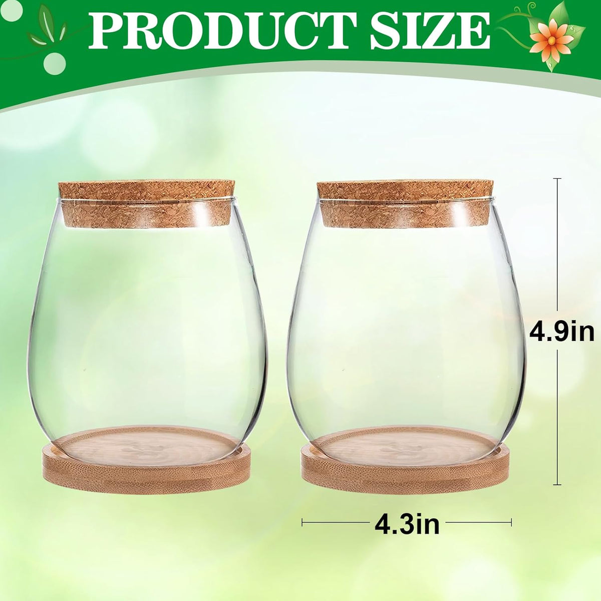 Biggun 2 Pcs Glass Plants Propagation Stations for Home Office Decor