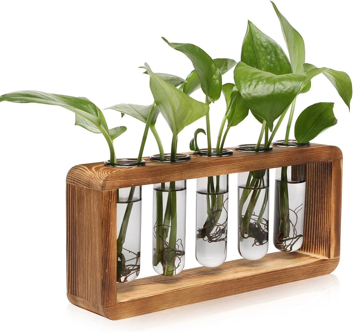 Glass Plant Propagation Station with 5 Test Tubes Colorful Planter Vase