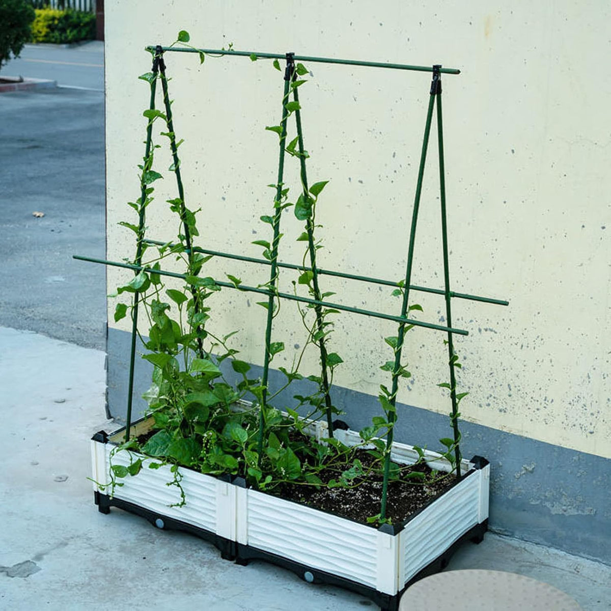 Garden Stakes, 24 Inch 2Ft Steel Plant Tomato Stakes, 25 Pack