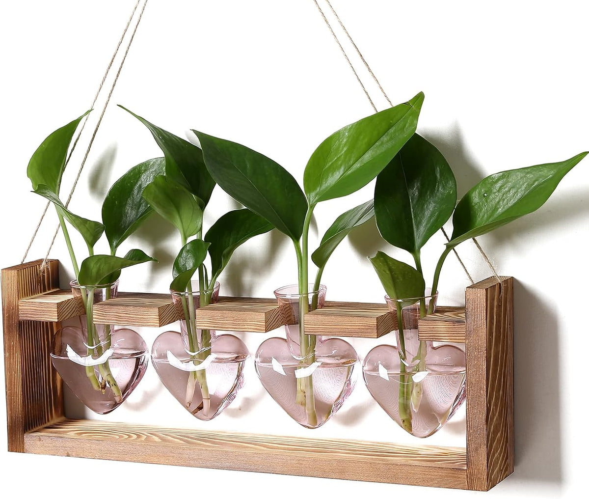 Plant Propagation Stations Heart Plant Terrarium Kit