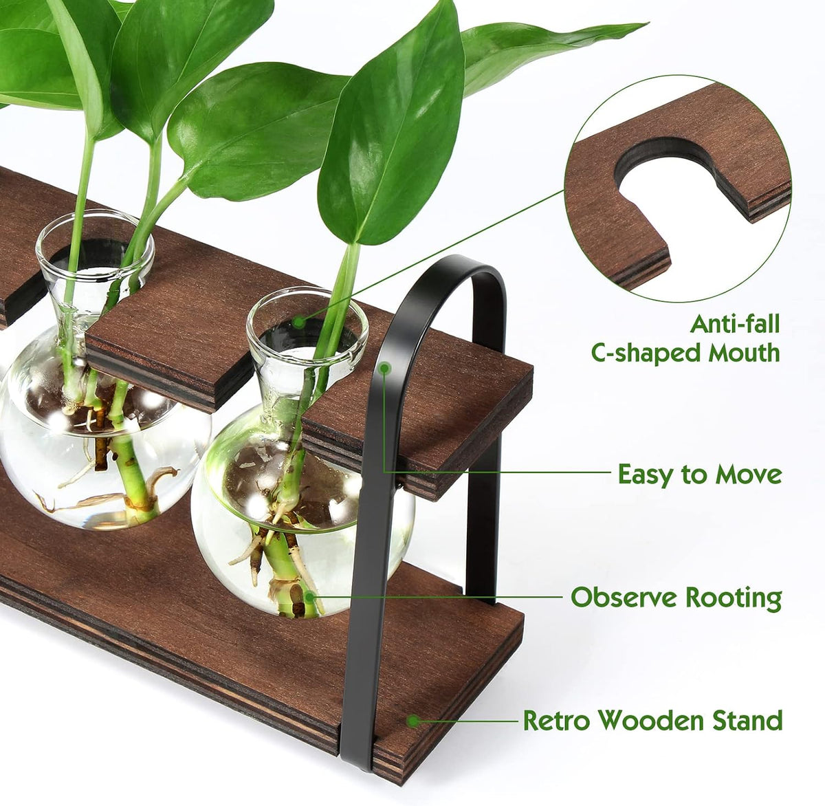 5-Bulb Plant Propagation Station, Glass Vase Terrarium, Wood Metal Stand