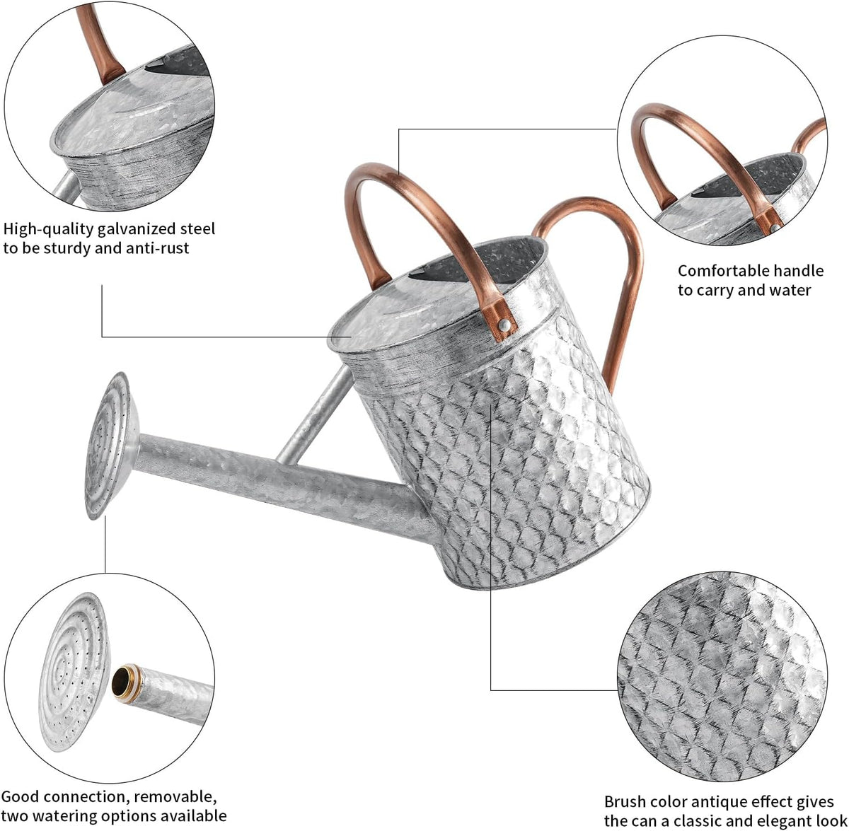 1 Gallon Metal Watering Can for Outdoor Indoor Plants, Galvanized Watering Can with Removable Spray Spout, Ideal for Garden Watering