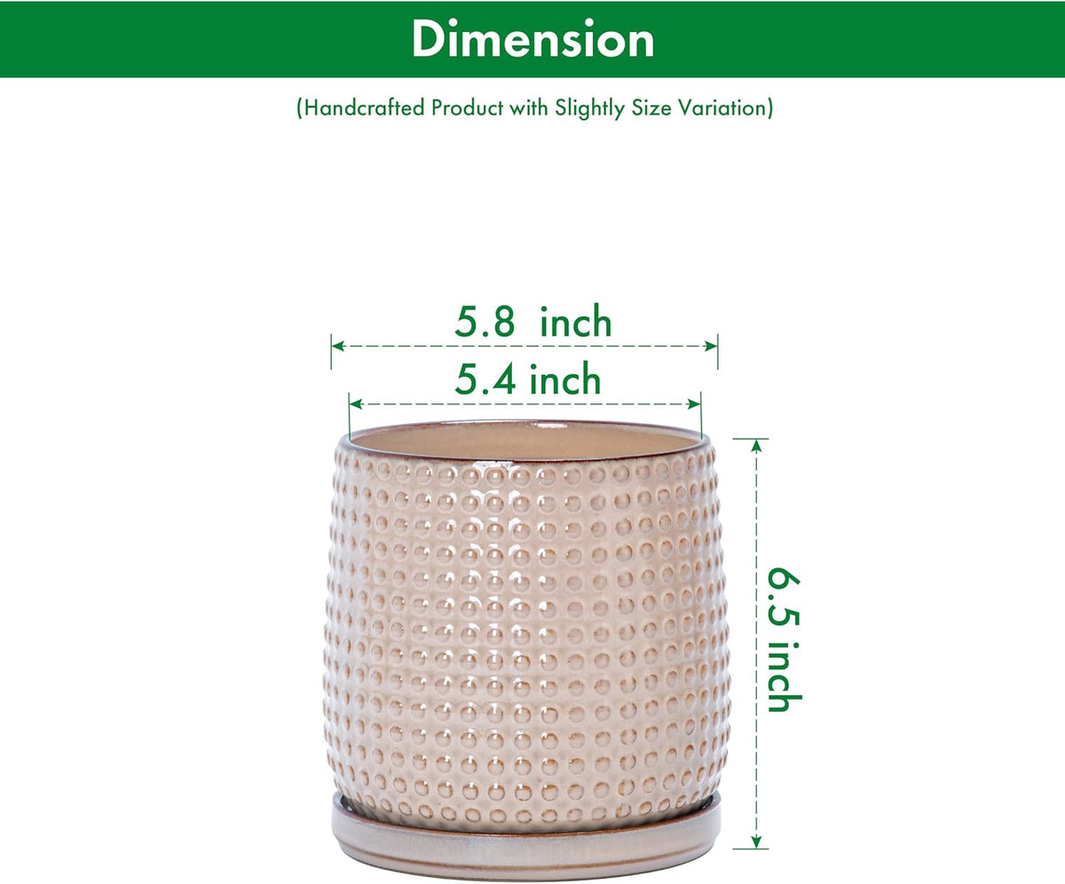 D'vine Dev 2-Pack Beaded Ceramic Pots, 6 in, Light Brown, 27-E-X-4