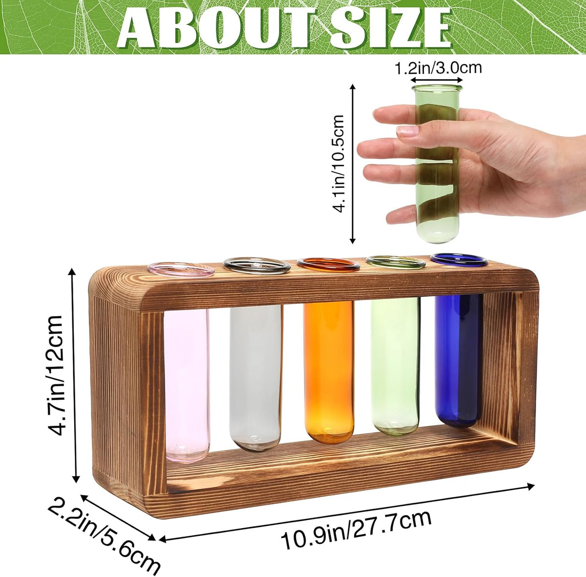 Glass Plant Propagation Station with 5 Test Tubes Colorful Planter Vase