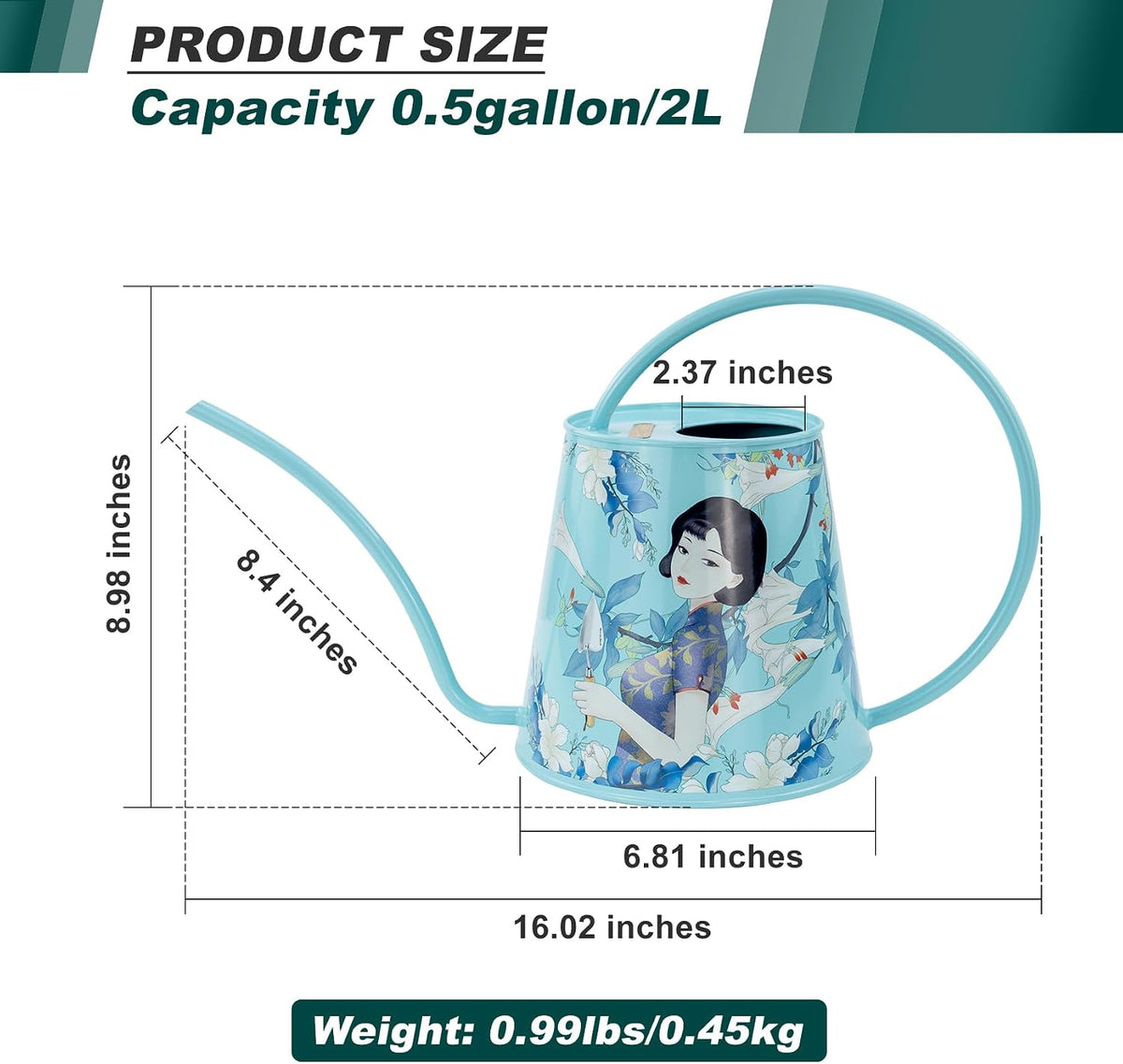 2L Long Spout Watering Can, Stainless Steel Water Can (Magnolia)