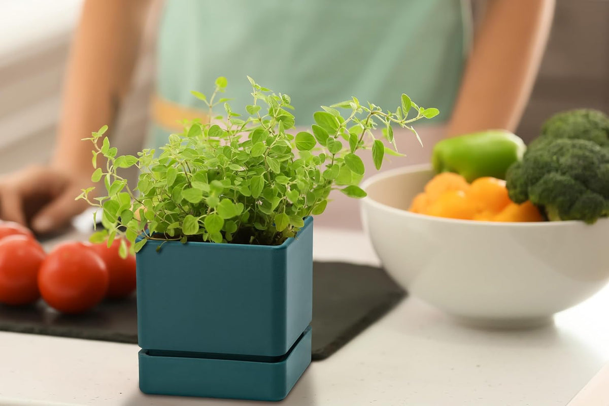 D'vine Dev 2-Pack Plastic Herb Planter Pots, 4 in, Green, 76-Y-C-1