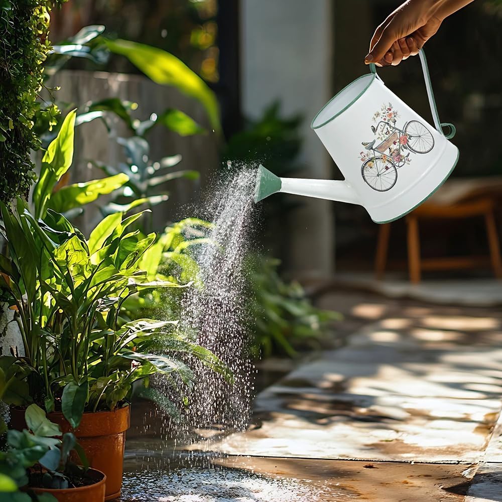 Small Metal Watering Can for Indoor & Outdoor Plants Garden Decor