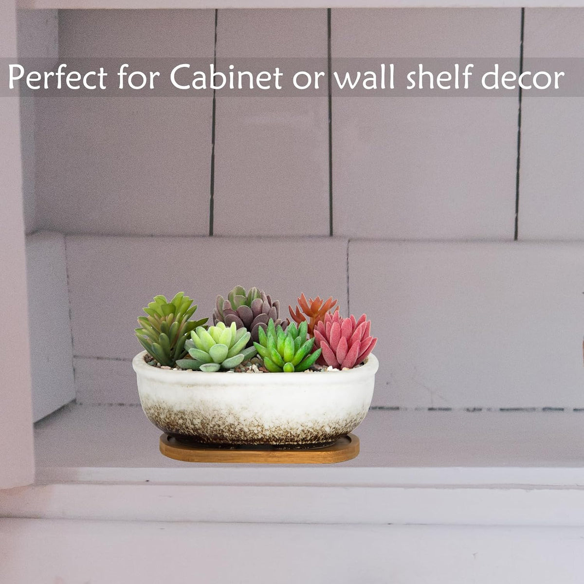 ARTKETTY Succulent Pots, 7.9'' Large Ceramic Pots for Indoor Cactus Plants