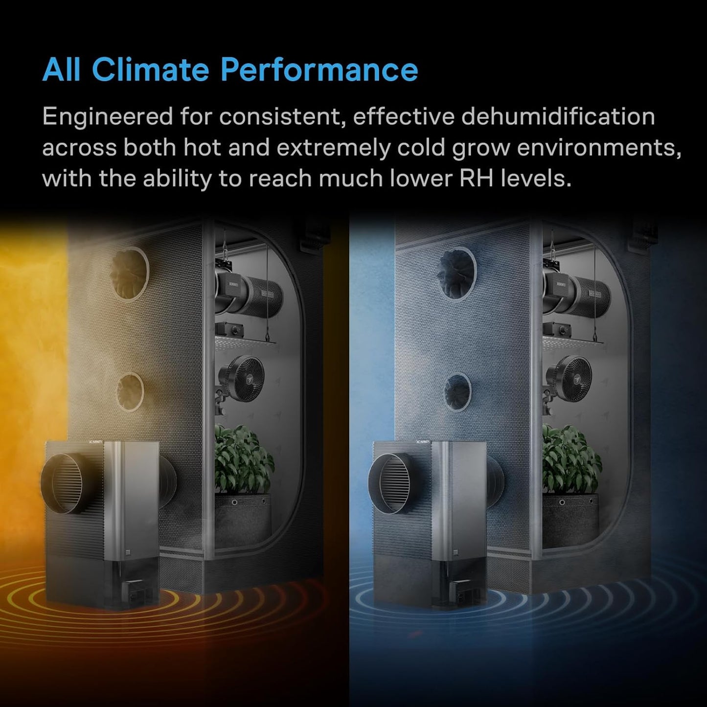AC Infinity HYDRONE 5, Precision Plant Dehumidifier, 10 Distinct Drying Levels, PWM Rotary Motor, Effective in Extreme Hot/Cold Environments, Dual Duct Ports, for 2-3 Plants in Grow Tents