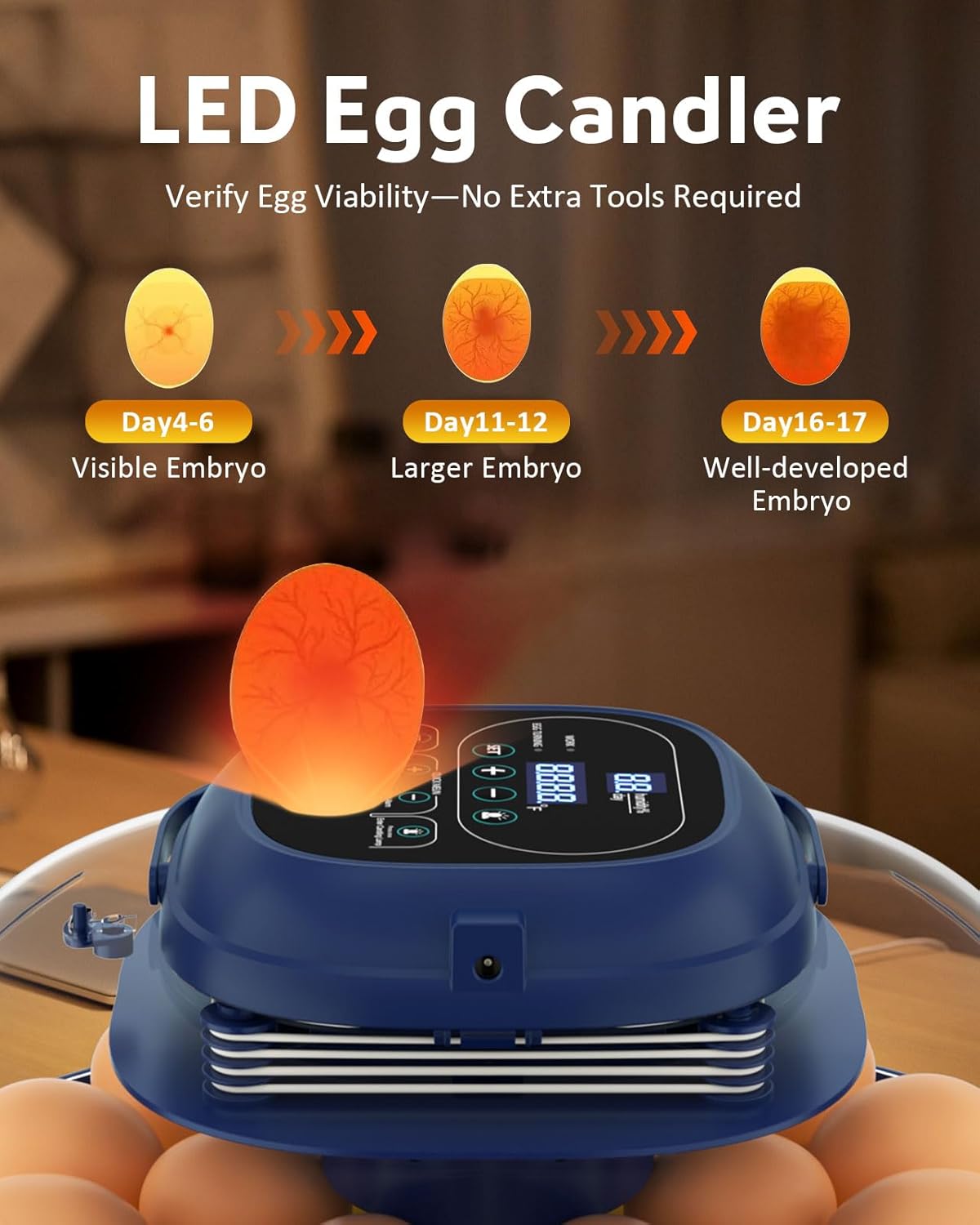Egg Incubators for Hatching Eggs, Temperature & Humidity Control, Automatic Egg Turning for Hatch Chicken Duck Quail Pigeon Pheasant Partridge Home Classroom Lab with Water Bottle&Air Vent, 18 Eggs