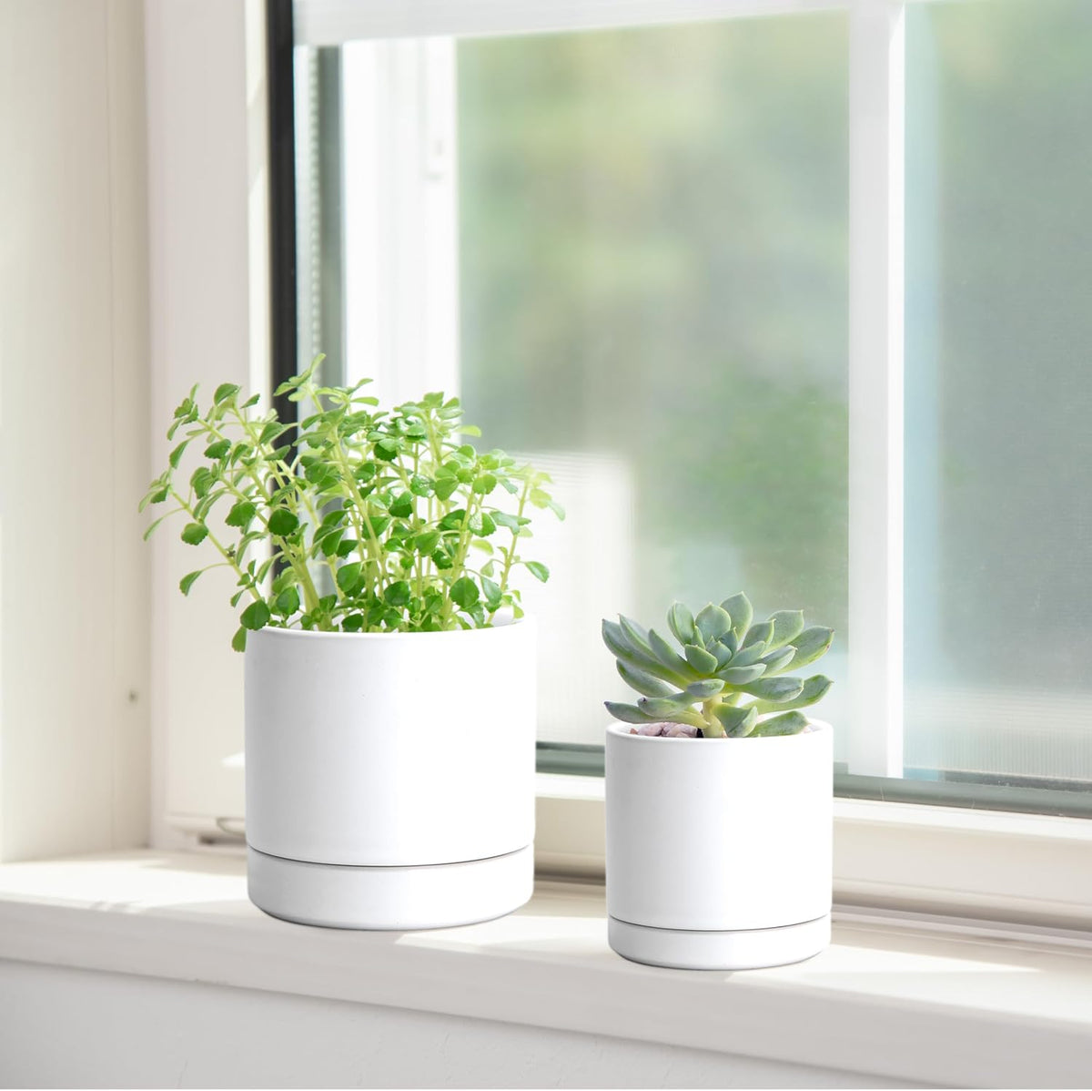 D'vine Dev 2-Pack Ceramic Pots & Saucers, White, 3.5/4.7 in, 94-G-XS-1