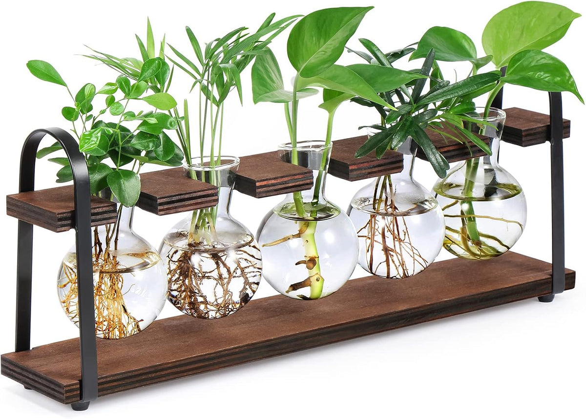 5-Bulb Plant Propagation Station, Glass Vase Terrarium, Wood Metal Stand