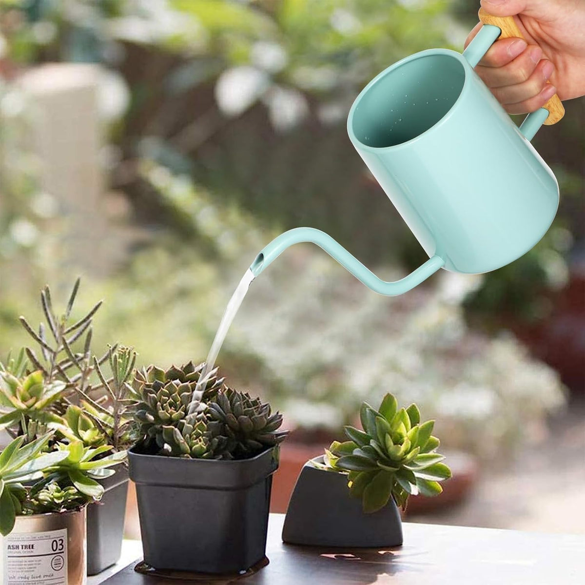 Watering Can Indoor Plants, 35 oz/1000 ml Metal Stainless Steel Watering Can Pot with Long Spout for Indoor House Plants Bonsai Outdoor Garden Flower Decorative (Green