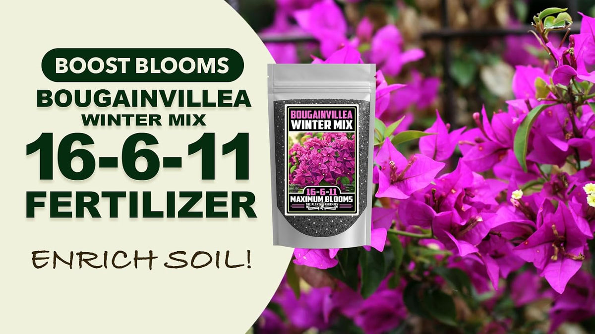 Fertilizer Commercial Grade | Bougainvillea Winter Mix 16-6-11 | 3 Pounds | Custom Professional Mix | Cold-Season Bloom Formula | Controlled Release Nutrition | Micronutrients | Vivid Color & Growth