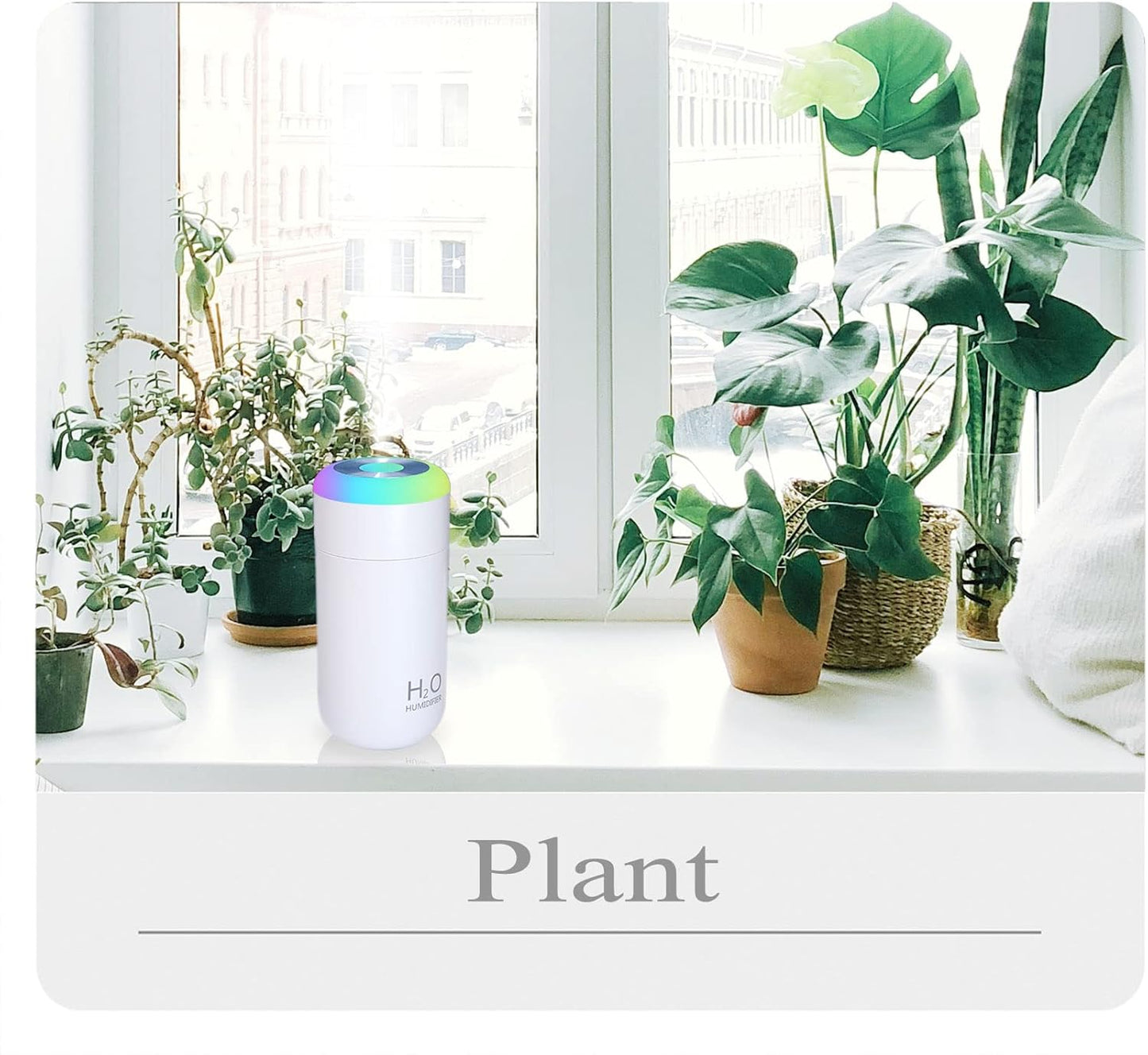 Plant Humidifier indoor, 350ml Humidifier for plant, desk, portable, travel (Cyan)