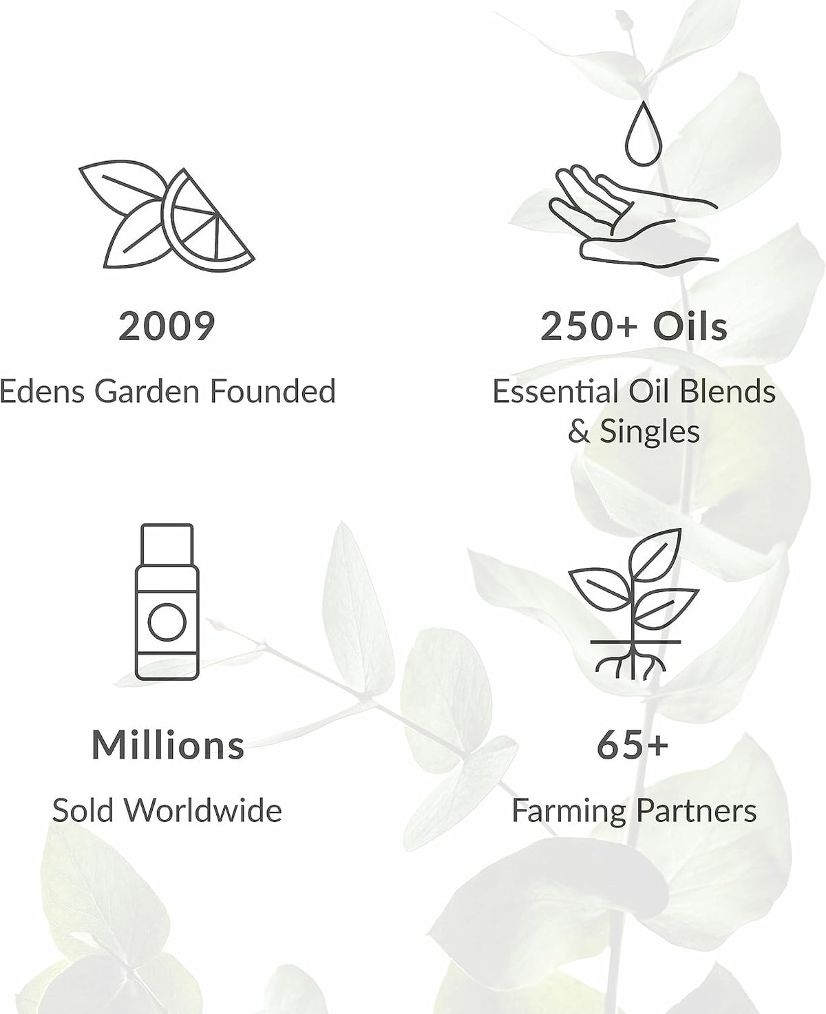 Edens Garden Age Defy 100% Pure Essential Oil Blend Roll-On (.33 fl oz)