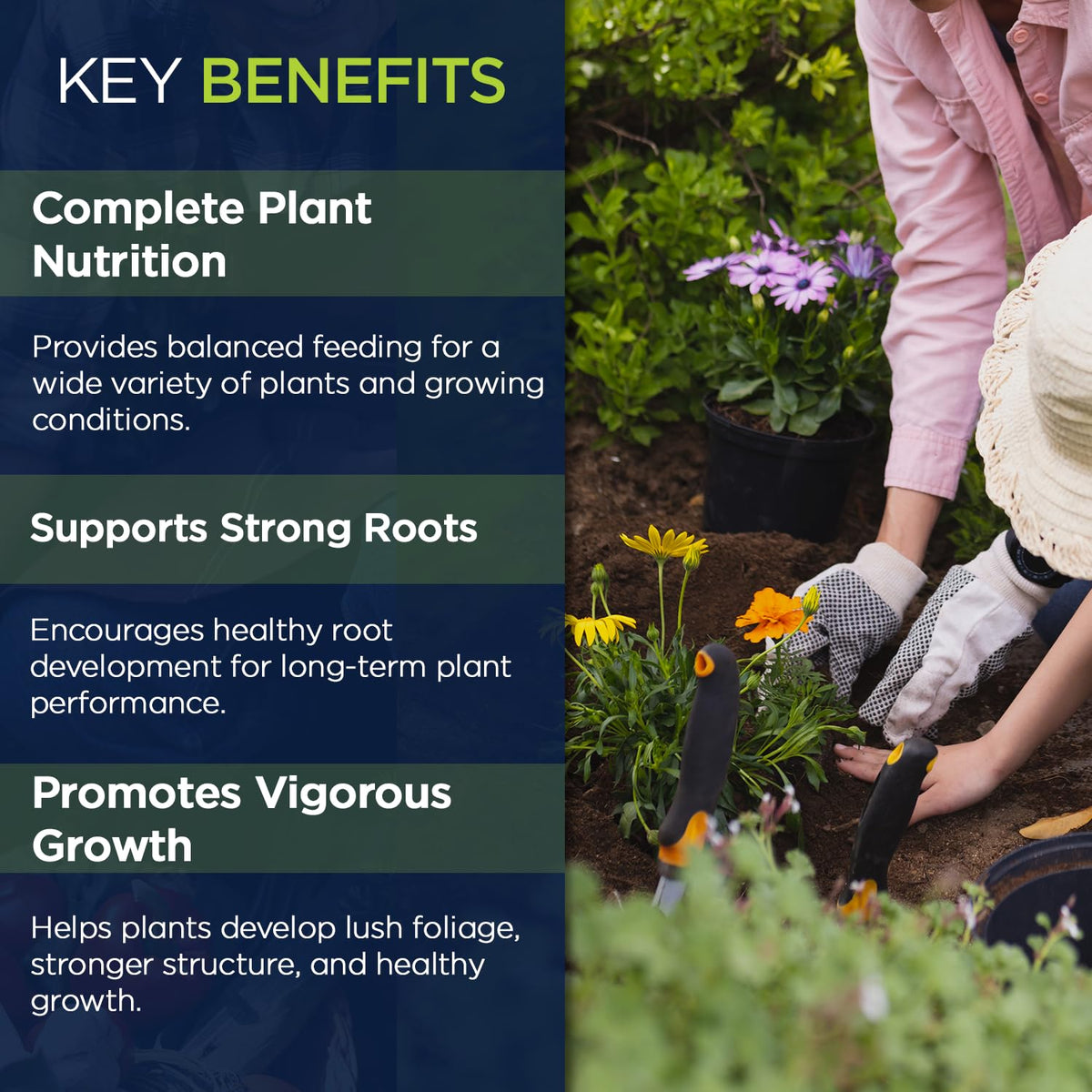 Supply Solutions 16-16-16 Complete Lawn & Garden All Purpose Granular Fertilizer - The Ultimate Plant Food for Lush Greenery & Vibrant Blooms - for All Plants, Vegetables, Fruits, and Berries - 10lbs