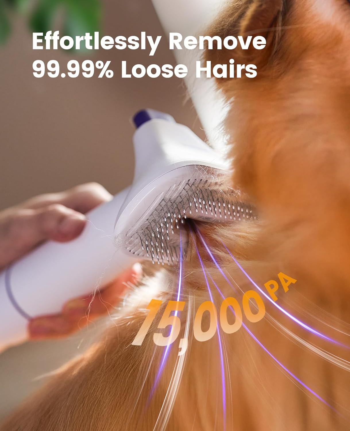 oneisall Dog Grooming Vacuum Kit: 15000Pa Shedding Brush with Grooming Tools, 3 Suction Low Noise, for Pet Thick and Undercoat, 1.5L Dust Cup, Dog Hair Vacuum, Home Cleaning, LM5