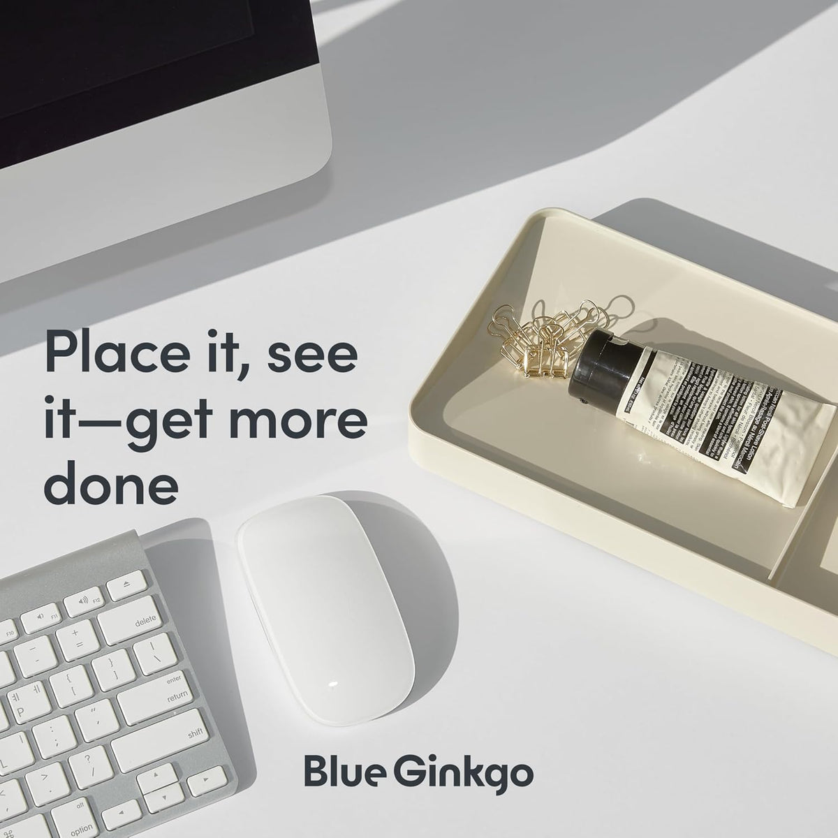 BLUE GINKGO Desk Organizer Tray, Beige, Made in Korea