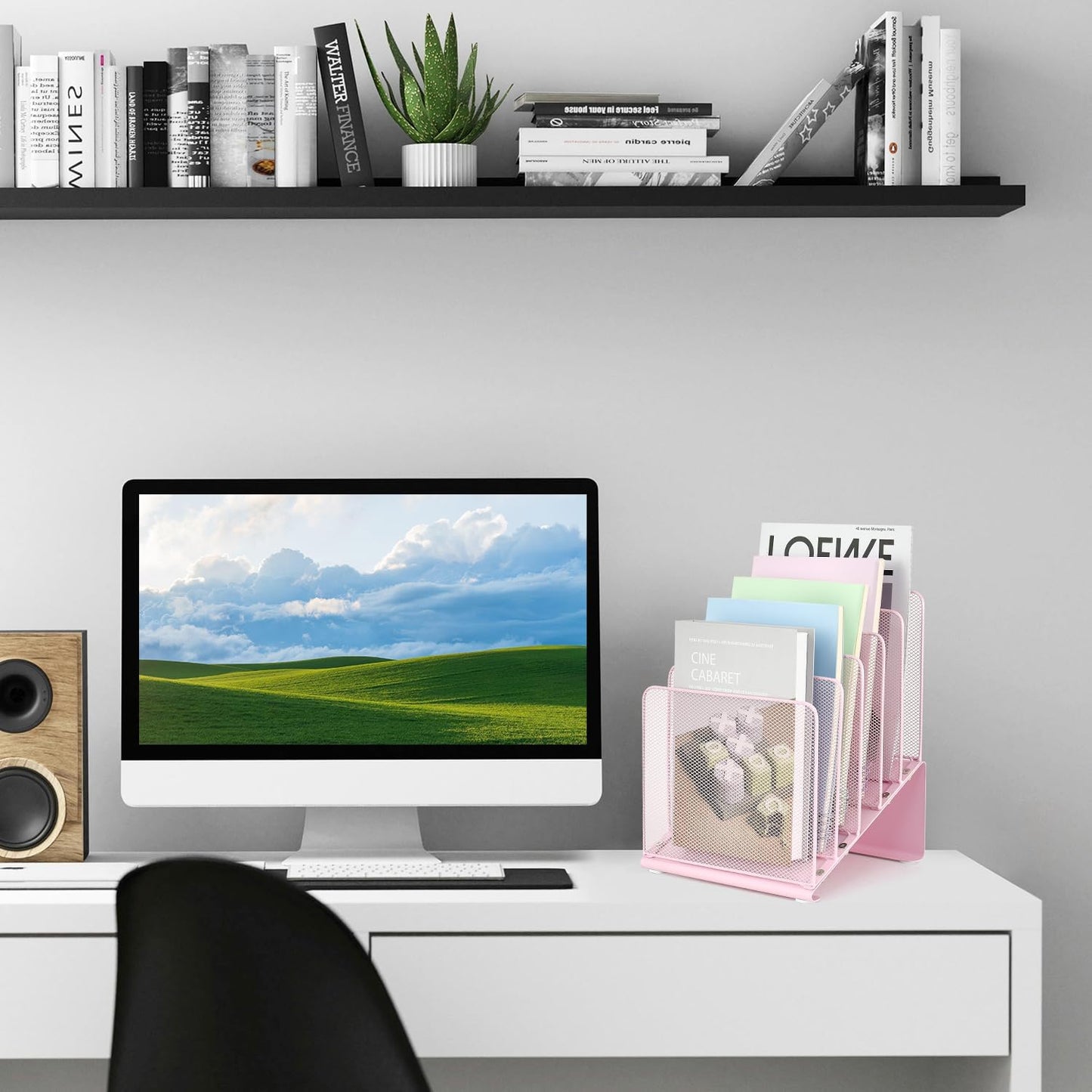 LEKETREE File Organizer for Desk, Desk Organizer with 5-Section Vertical File Rack, Folder Organizer,Workspace Organizers (Pink)