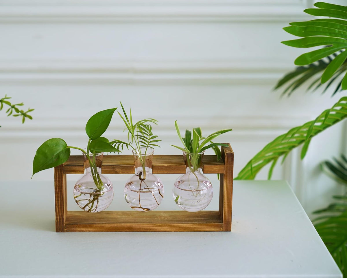Kingbuy Glass Plant Terrarium Propagation Station, 3 Bulb, Pink | Colored Vases with Retro Wood Stand, Wall Mounted & Desktop, Indoor Garden Planter, Home Kitchen Wedding Decor