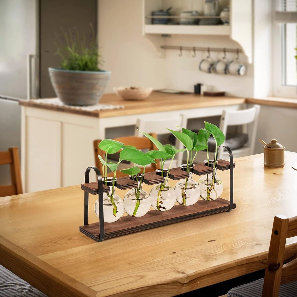5-Bulb Plant Propagation Station, Glass Vase Terrarium, Wood Metal Stand