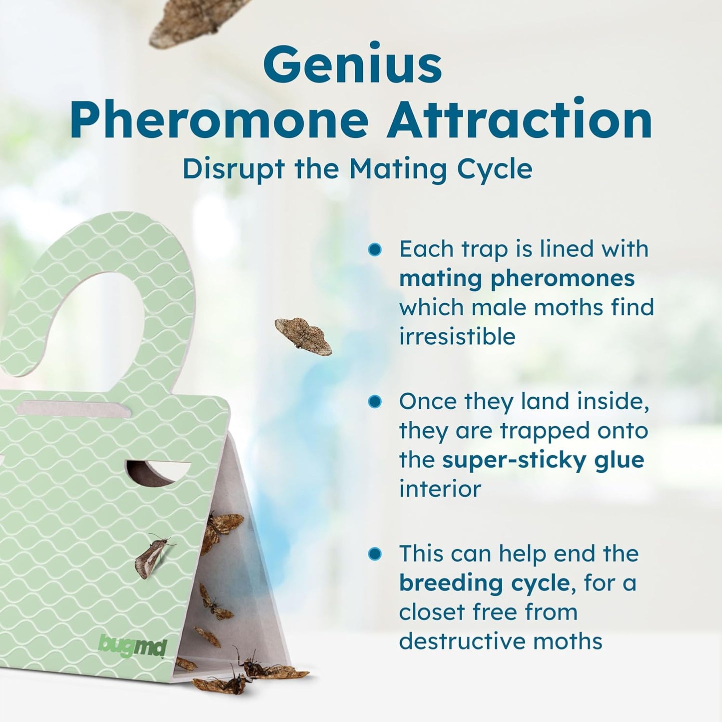 BugMD Clothes & Pantry Moth Traps with Sticky Glue | Pheromone-Based Non-Toxic Repellent for Closets, Cabinets and Wardrobes | 18 Count, Green