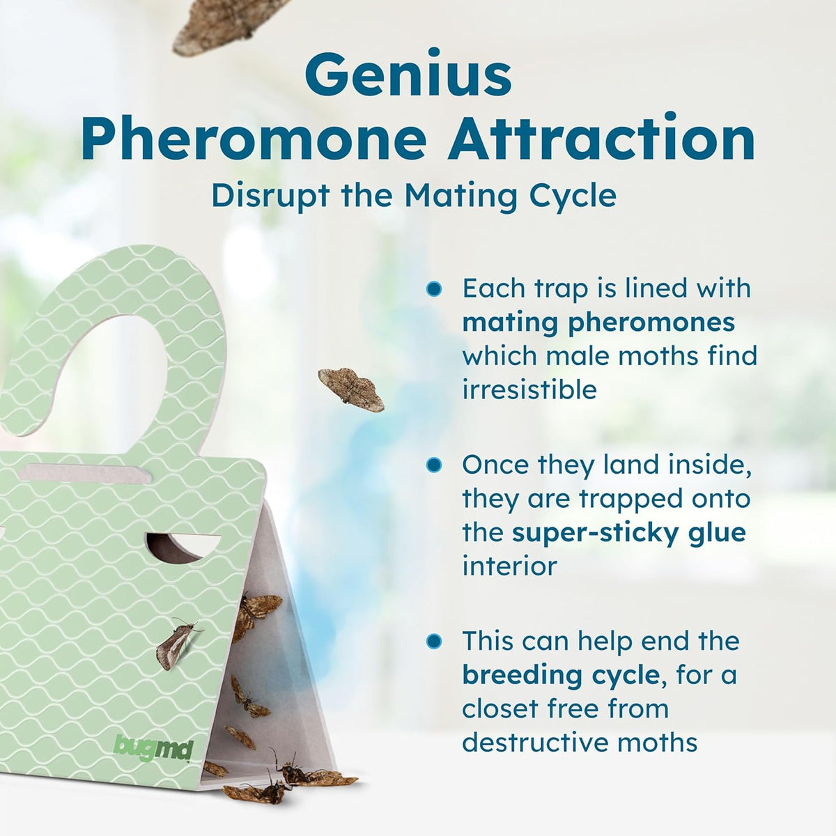 BugMD Clothes & Pantry Moth Traps with Sticky Glue | Pheromone-Based Non-Toxic Repellent for Closets, Cabinets and Wardrobes | 6 Count, Green