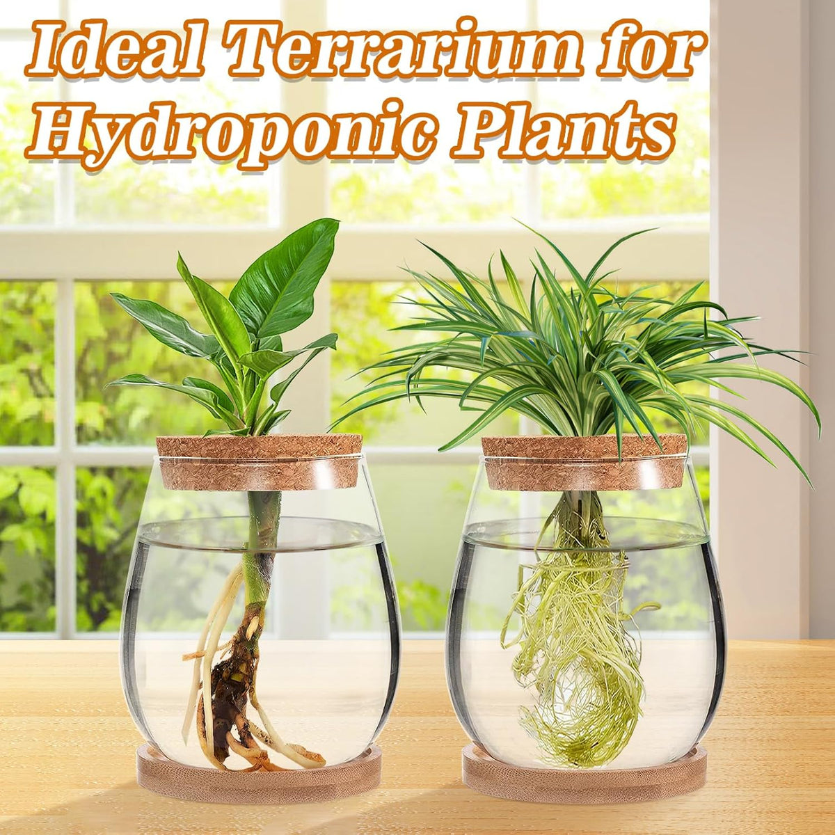 Biggun 2 Pcs Glass Plants Propagation Stations for Home Office Decor