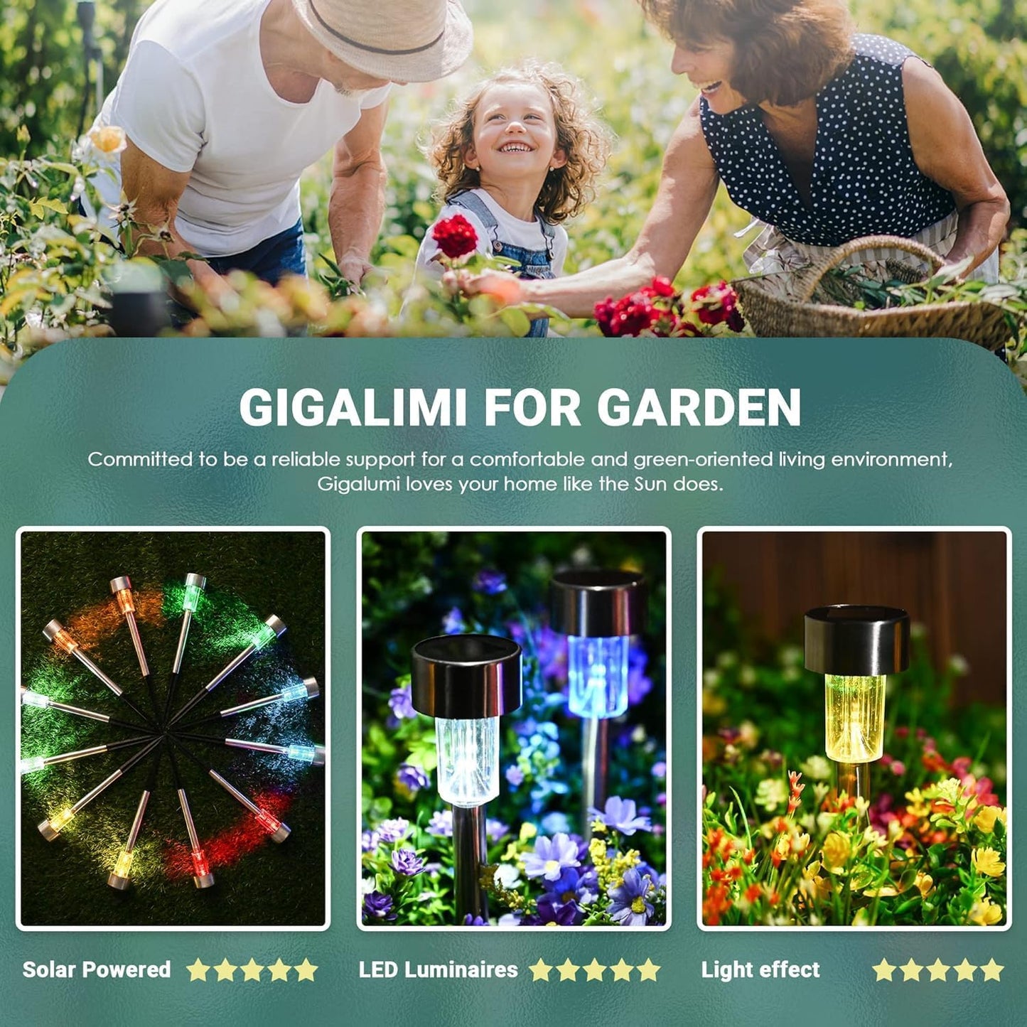 GIGALUMI Solar Garden Lights Outdoor, 12 Pack 6-Color, IP65 Waterproof Decorative Pathway Lights, Stainless Steel LED Landscape Lighting for Yard, Lawn, Walkway