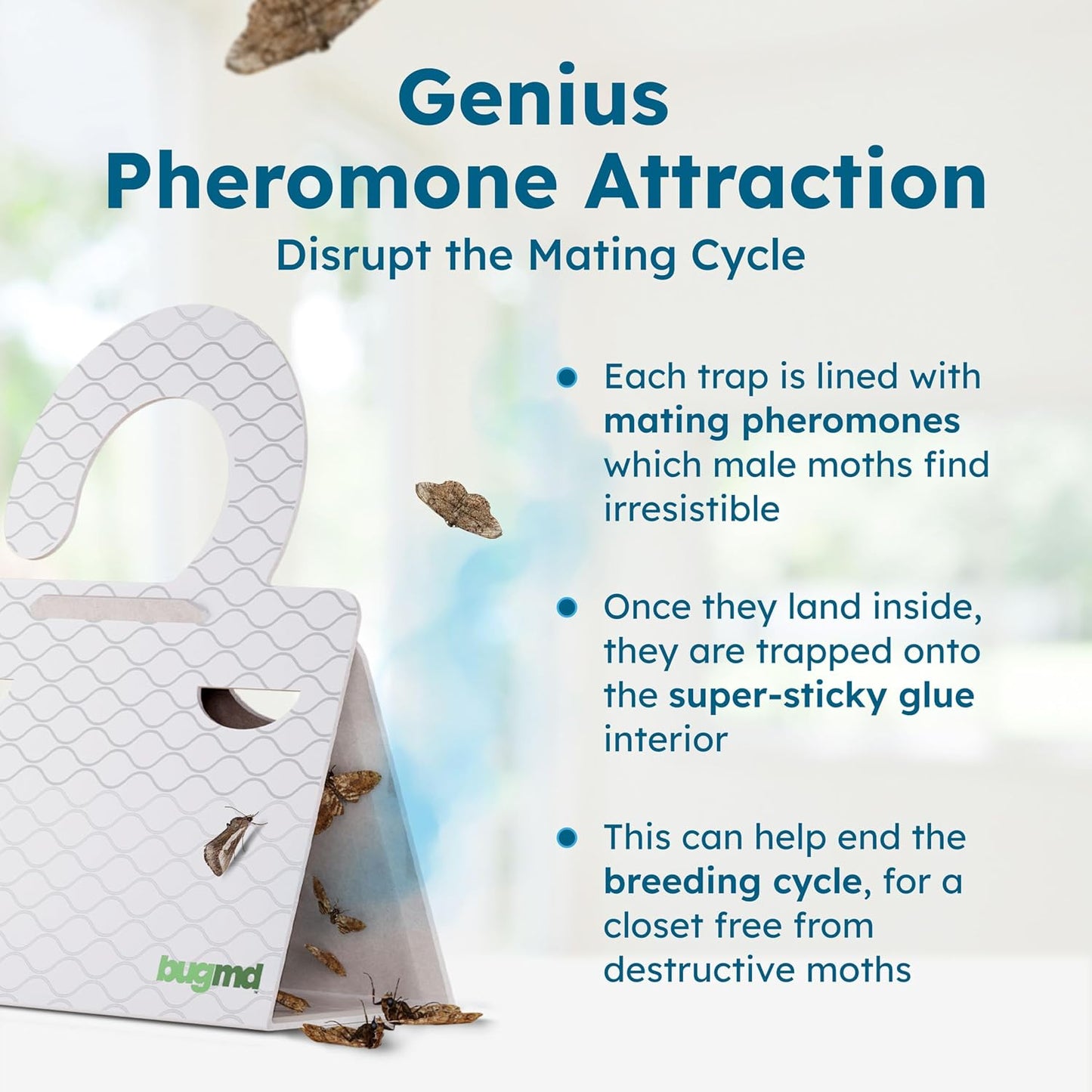 BugMD Clothes & Pantry Moth Traps with Sticky Glue | Pheromone-Based Non-Toxic Repellent for Closets, Cabinets and Wardrobes | 6 Count, White