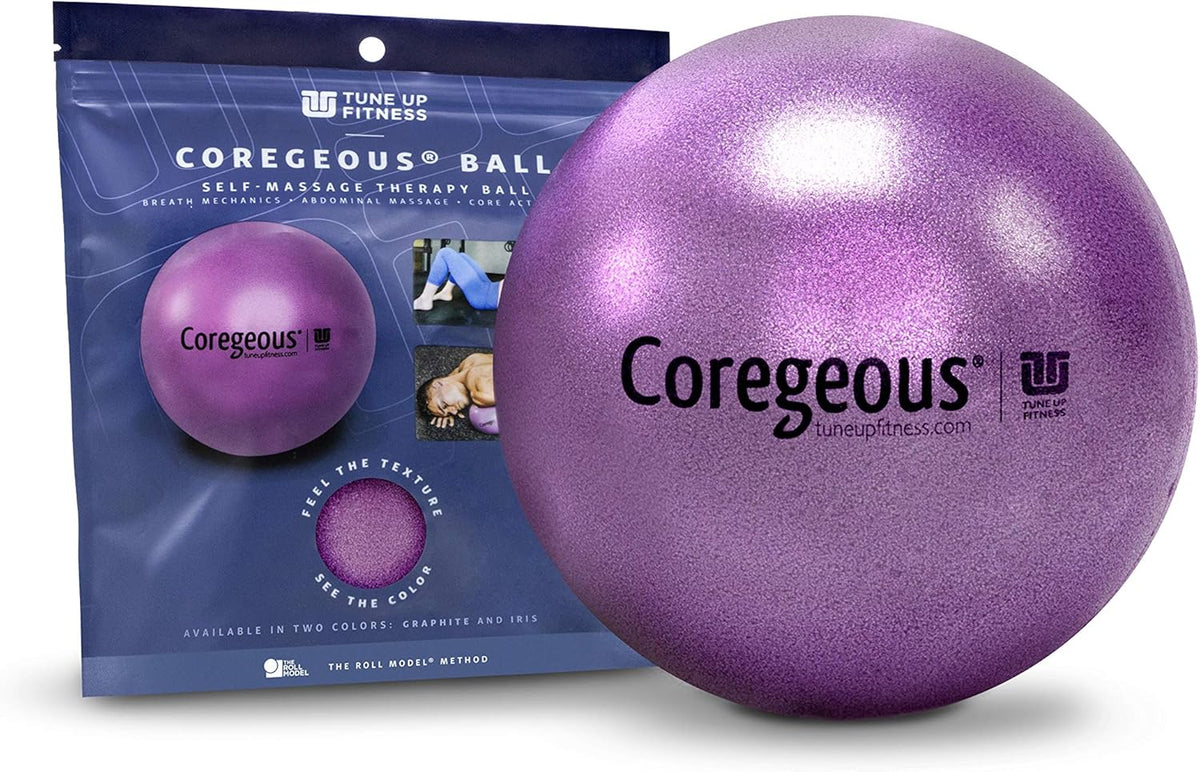 Tune Up Fitness – Coregeous Ball | Psoas Release Tool, Abdominal, Belly & Lower Back Release | Core Ball, Exercise Ball for Low Back, Stress & Digestive Relief, Improved Breathing & Sleep (Graphite)