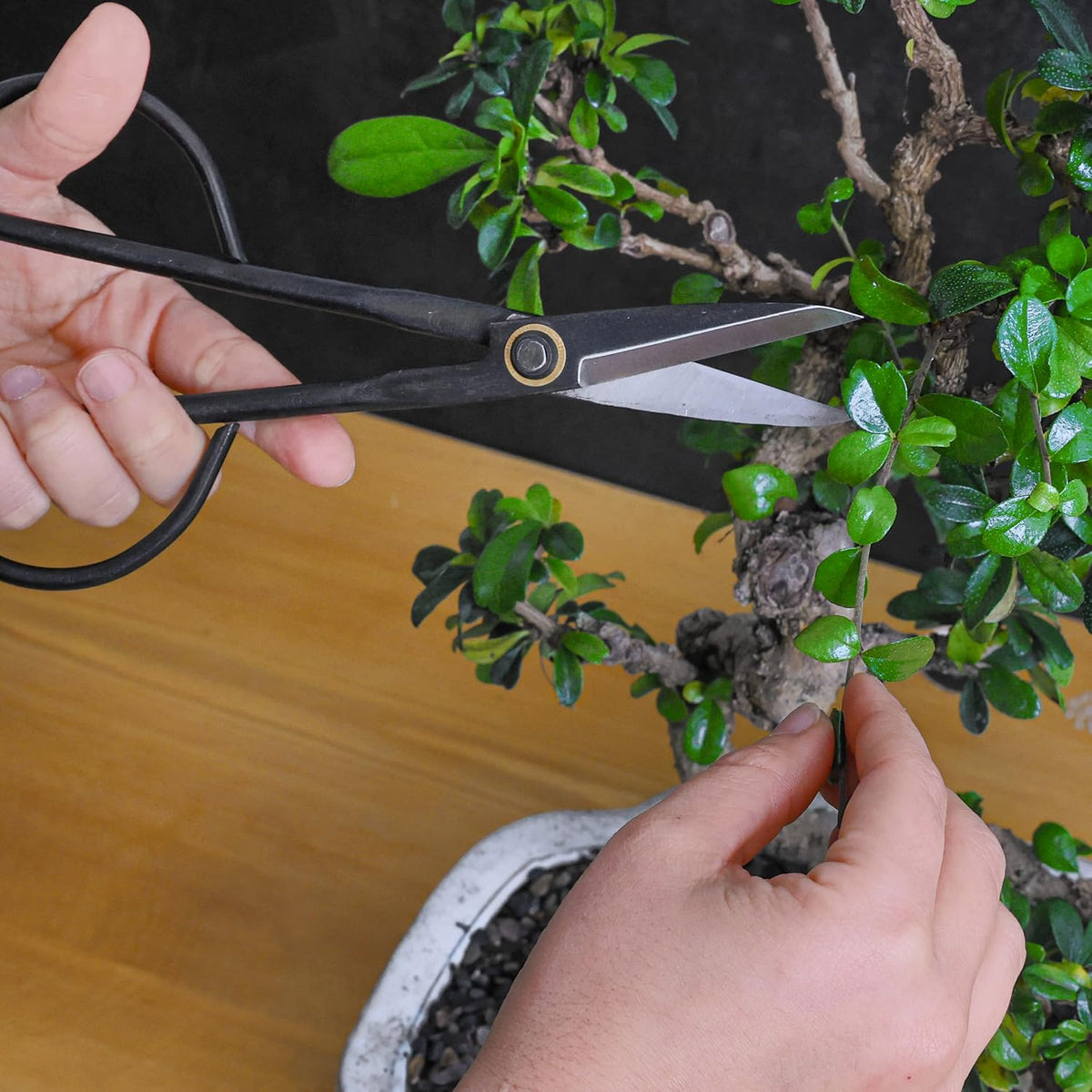 Leaves & Soul Slim Bonsai Scissors, Japanese Bonsai Shears Garden Tools