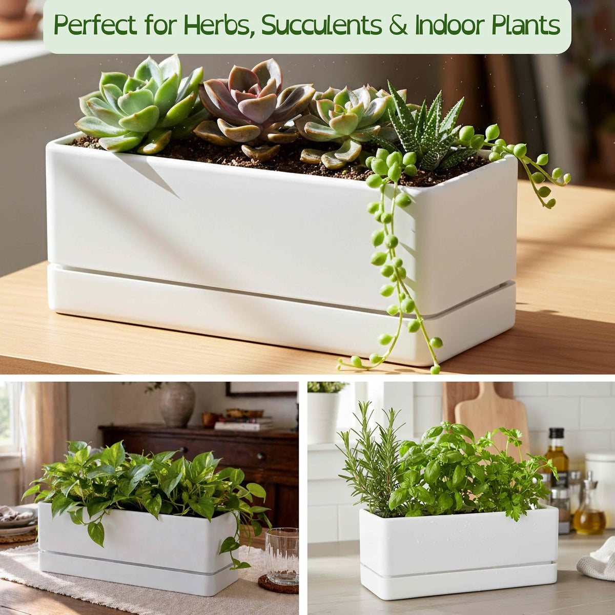 D'vine Dev Rectangular Planter, 12 x 4.5 in, White, Set of 1, 76-X-A-1