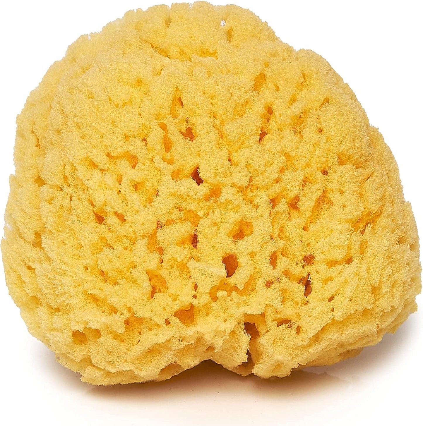 Sea Sponge for Bathing 5 inch-Softly Rough but Not Skin Irritating – Yellow, Natural Bath Sponge-Renewable Resource – Natural Sponge for Body and Shower-Lathers & Washes Really Well