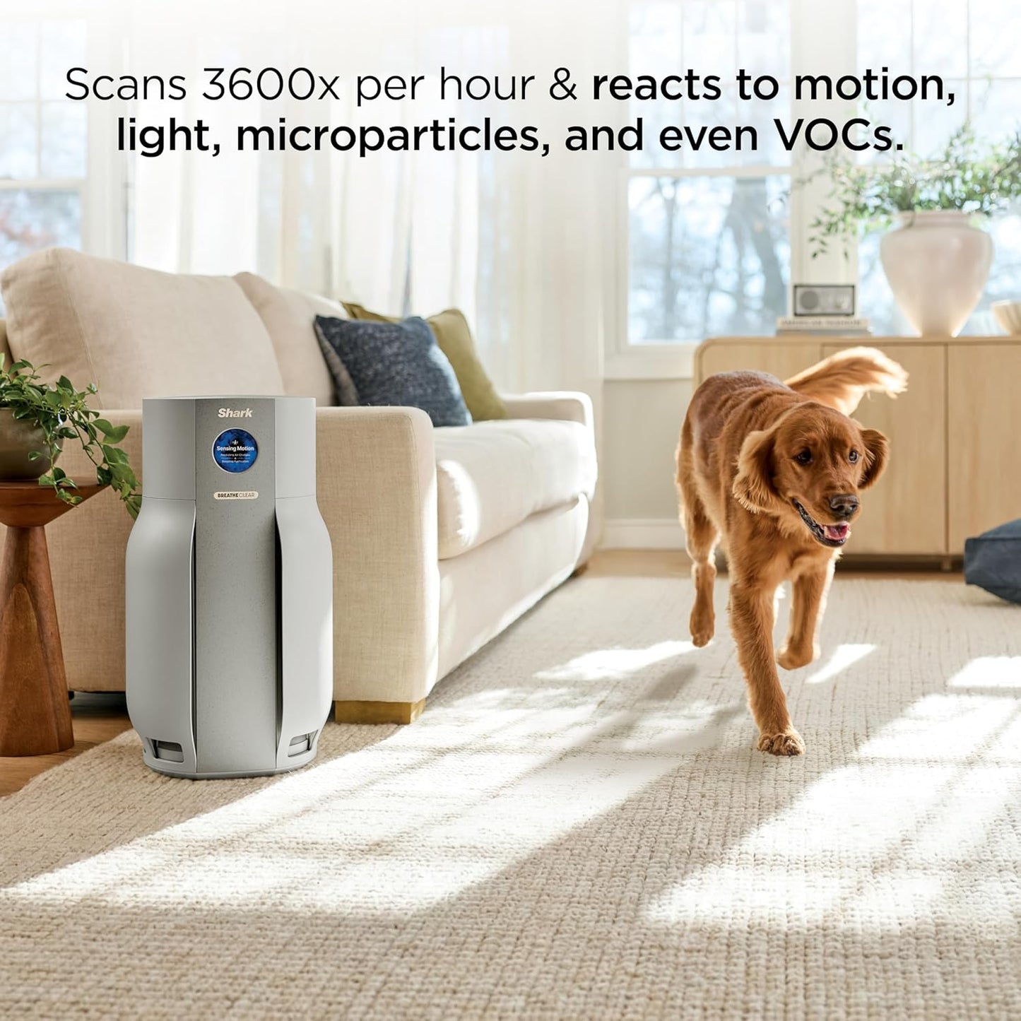 Shark BreatheClear MAX with NeverChange, Intelligent Air Purifier for Home, Large Rooms, HEPA-Exceeding for Dust, Dander, Smoke, and More, Zero Filter Changes, Dove, HP362 (2026)