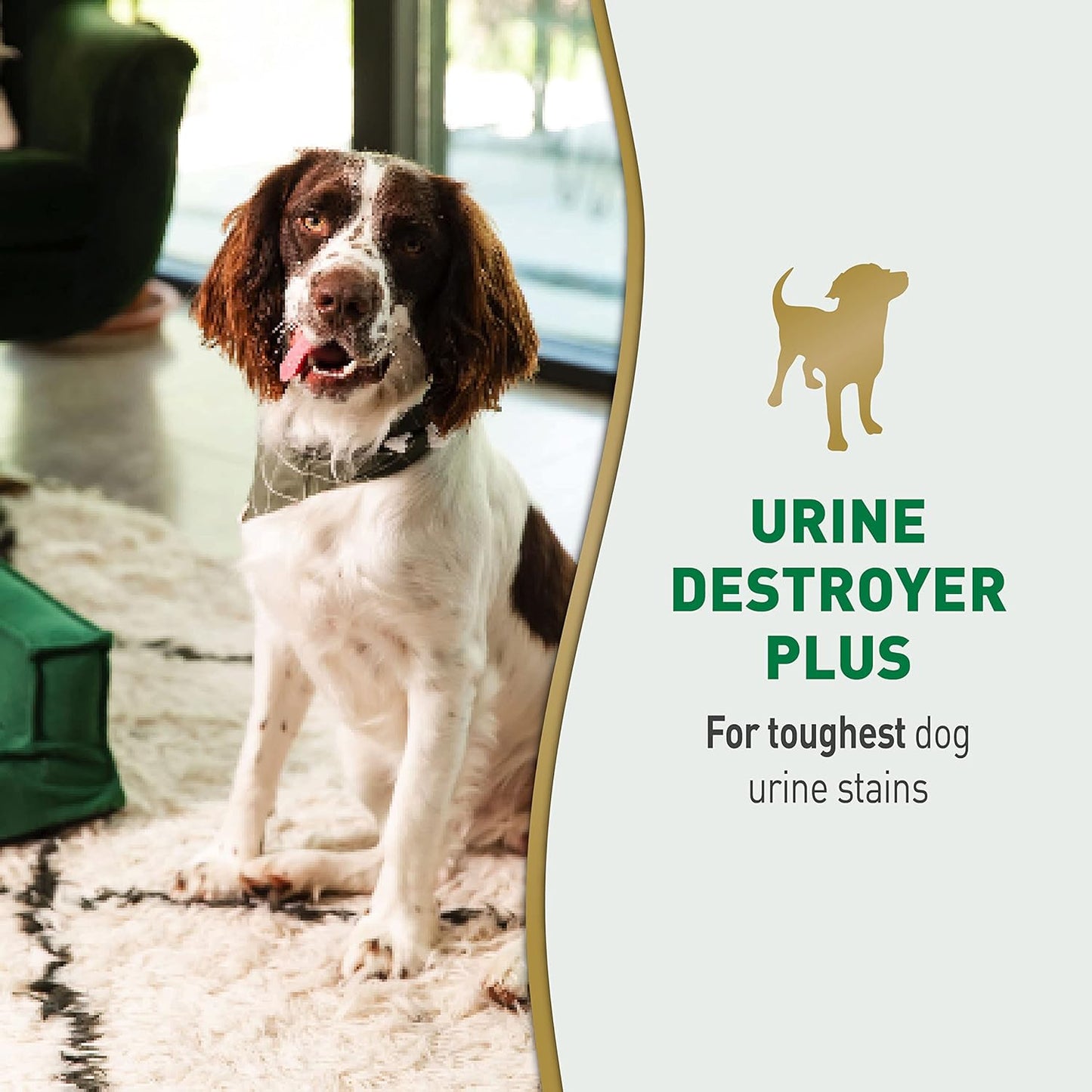 Nature's Miracle Urine Destroyer Plus for Dogs, Enzymatic Formula for Severe Dog Urine Stains, 32 oz