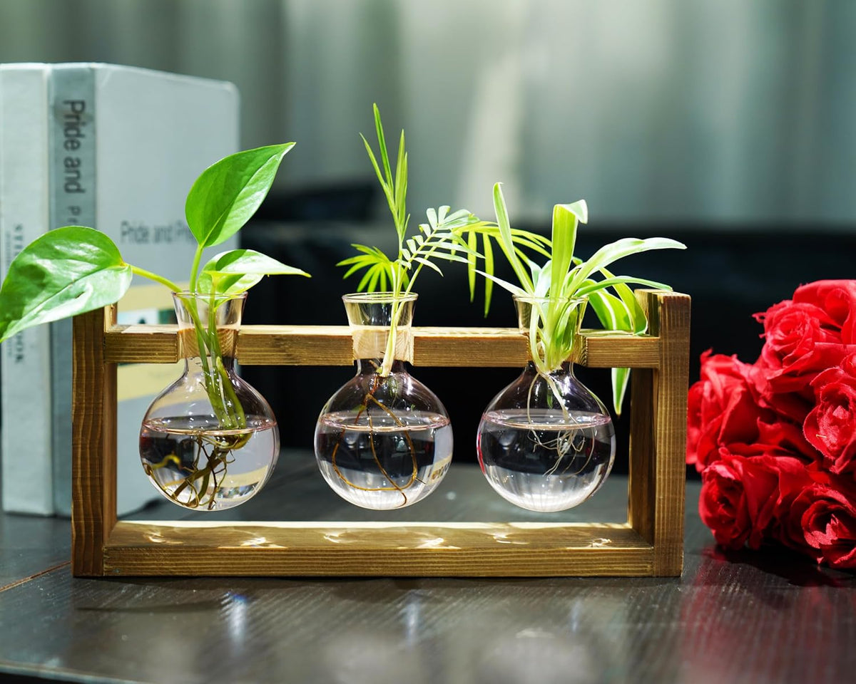 Kingbuy Glass Plant Terrarium Propagation Station, 3 Bulb, Pink | Colored Vases with Retro Wood Stand, Wall Mounted & Desktop, Indoor Garden Planter, Home Kitchen Wedding Decor