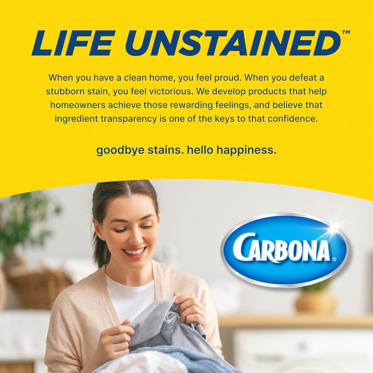 Carbona 2-in-1 Oxy-Powered Carpet Cleaner (13.5 Fl Oz), Spot Cleaner with Dual Sponge & Bristle Applicator for Targeted Cleaning, Fast Formula
