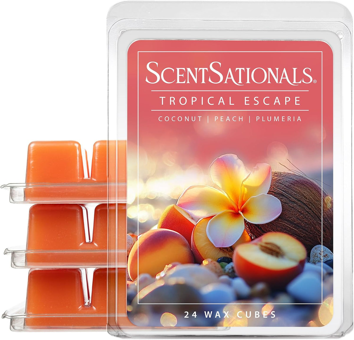 Scentsationals Mediterranean Grove, Fig Leaf Scent Wax Melts 10oz(24 Cubes)