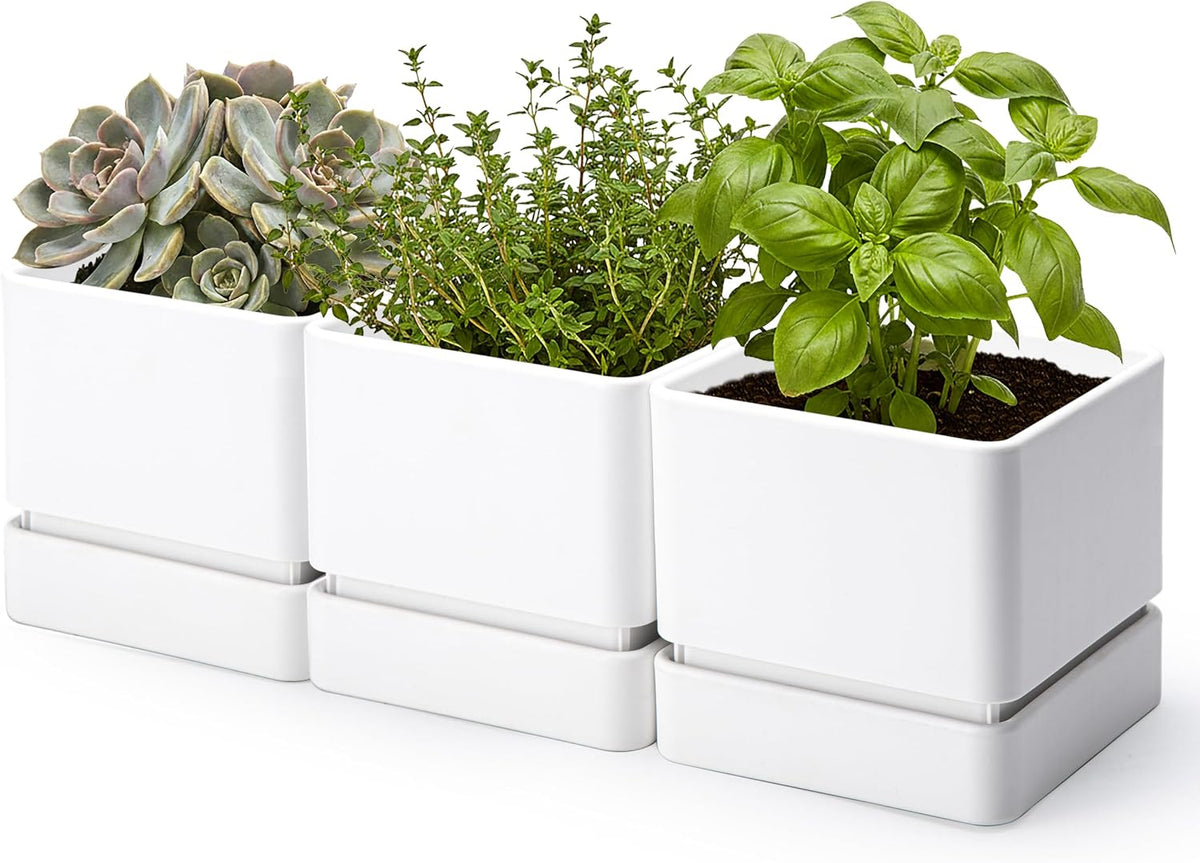 D'vine Dev 2-Pack Plastic Herb Planter Pots, 4 in, Green, 76-Y-C-1