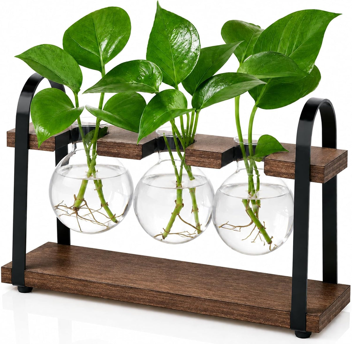 5-Bulb Plant Propagation Station, Glass Vase Terrarium, Wood Metal Stand