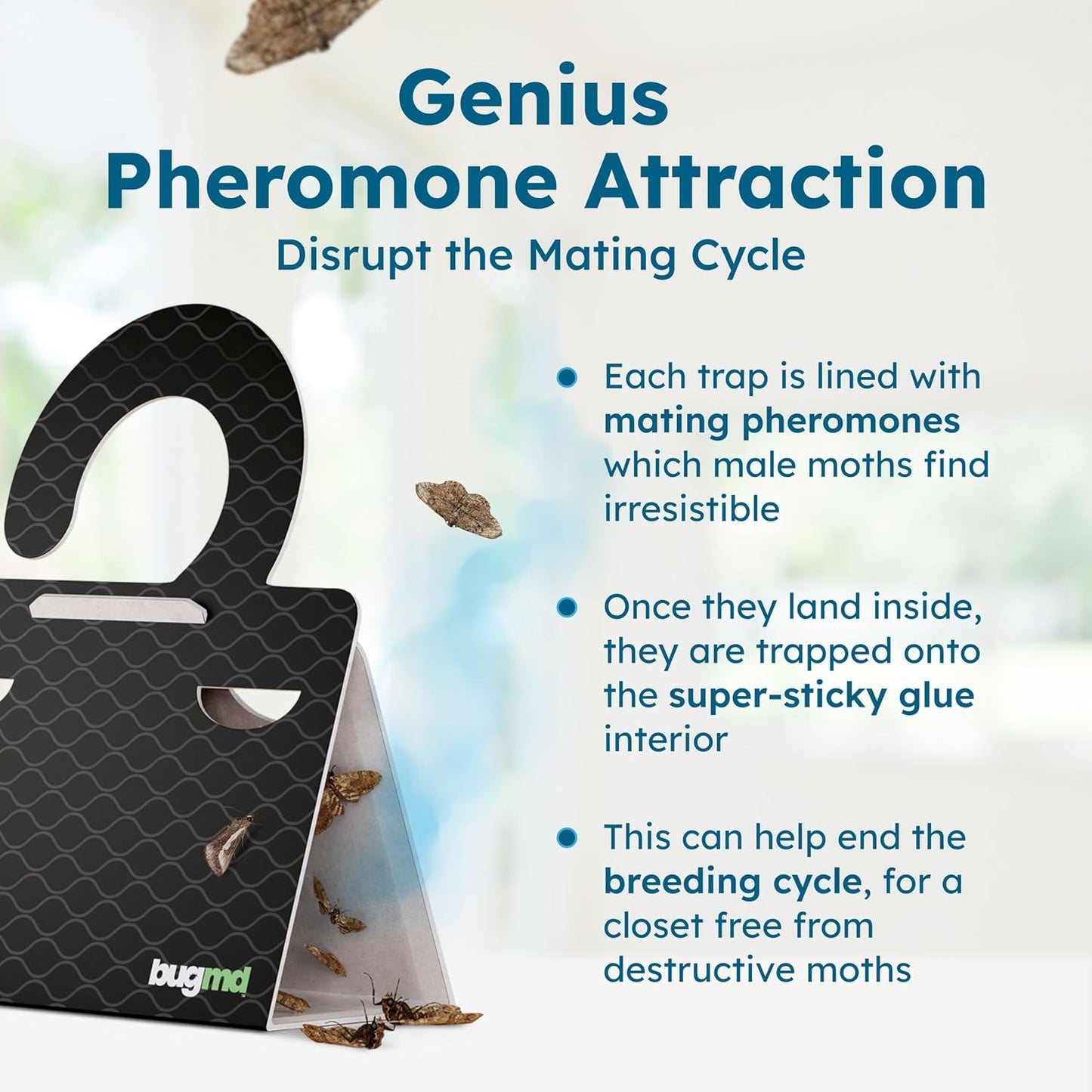 BugMD Clothes & Pantry Moth Traps with Sticky Glue | Pheromone-Based Non-Toxic Repellent for Closets, Cabinets and Wardrobes | 18 Count, Black