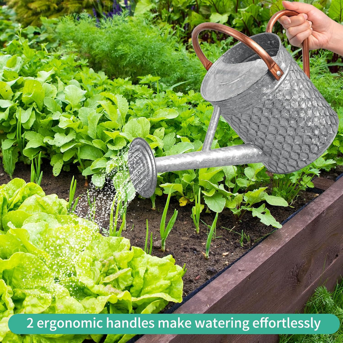 1 Gallon Metal Watering Can for Outdoor Indoor Plants, Galvanized Watering Can with Removable Spray Spout, Ideal for Garden Watering