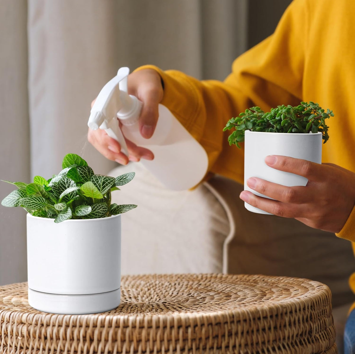 D'vine Dev 2-Pack Ceramic Pots & Saucers, White, 3.5/4.7 in, 94-G-XS-1