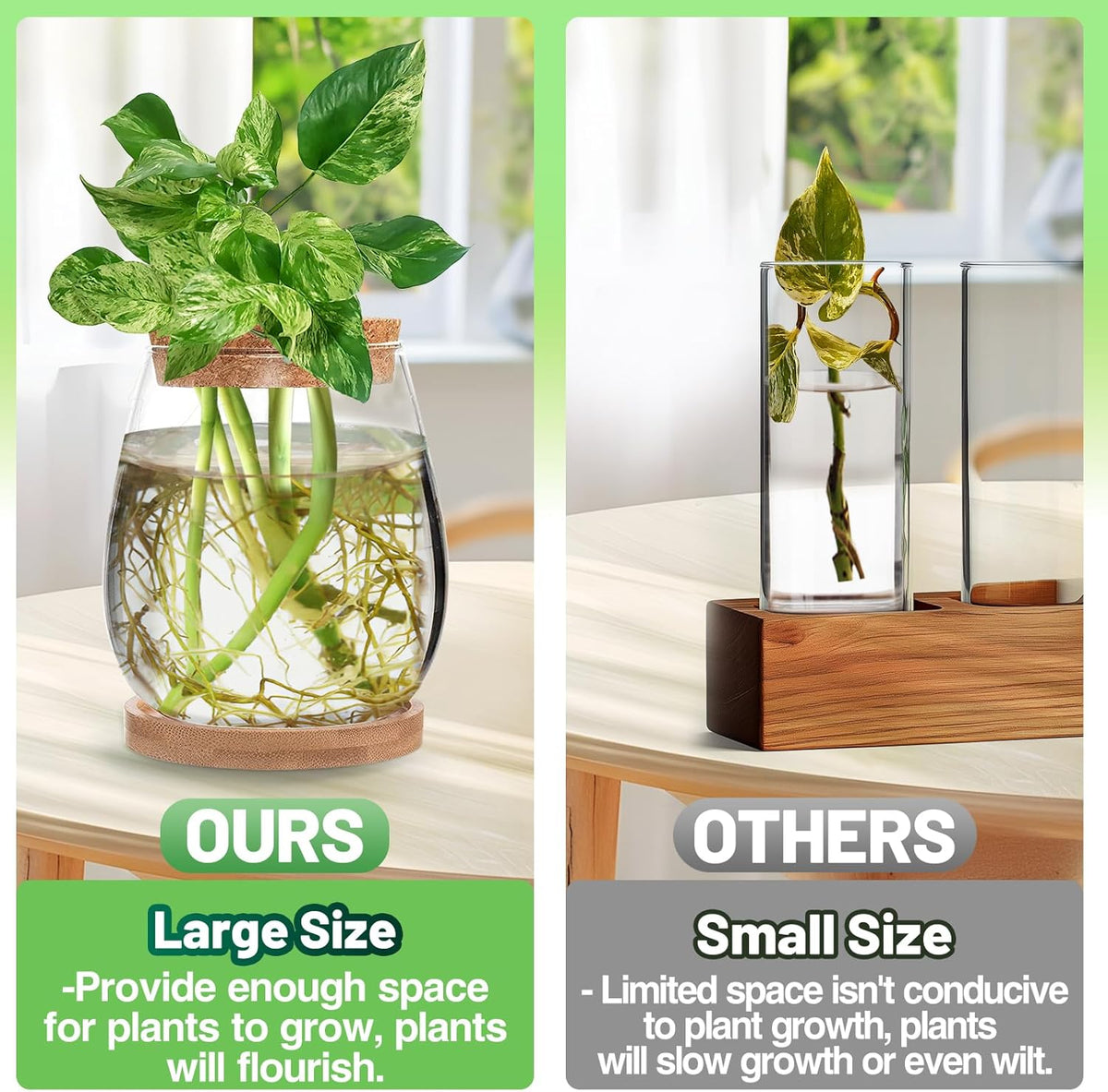 Biggun 2 Pcs Glass Plants Propagation Stations for Home Office Decor