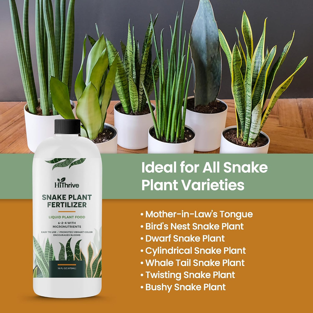 16oz Snake Plant Fertilizer for Snake Plant Live - Makes 96 Gallons of Fertilizer for Indoor Plants, Ideal for Healthy Growth, Strong Leaves, and Vibrant Color - Rich in Macro & Micronutrients