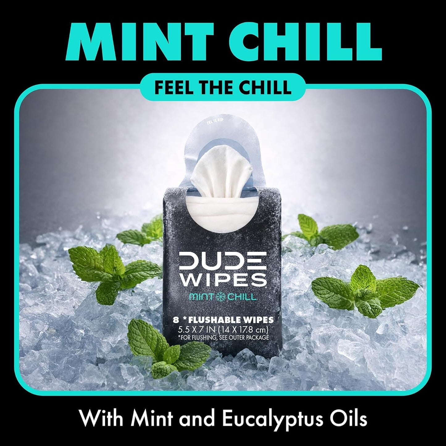 DUDE Wipes Mint Chill Pocket Packs - Travel Wipes - 6 Packs of 8 (48 Count) - On-The-Go Adult Flushable Wipes - Infused with Tea Tree Oil, Vitamin E, and Aloe - Septic and Sewer Safe