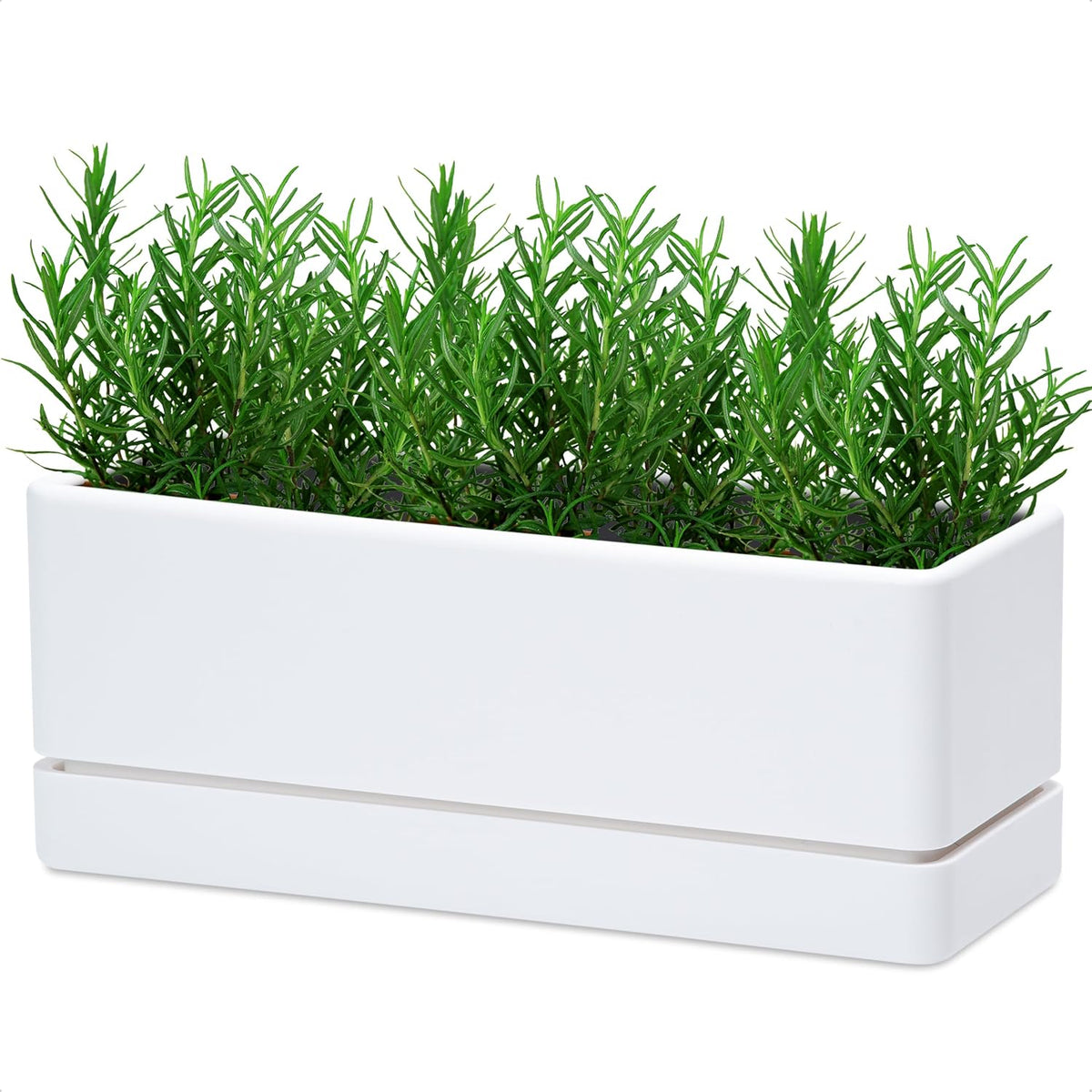 D'vine Dev Rectangular Planter, 12 x 4.5 in, White, Set of 1, 76-X-A-1